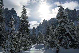 Hotel Dolomitenhof & Chalet Alte Post - 1