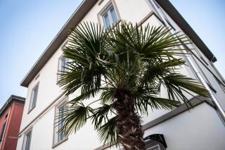 Le PALME - Parma - 0