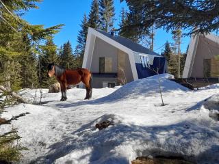 Olympic Oasis - Jahorina - 9