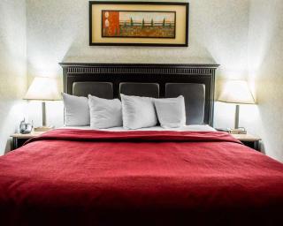 Quality Inn & Suites North Gibsonia - Gibsonia - 6