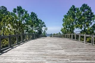 WindMark - Sweet N Salty - Port Saint Joe - 6