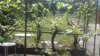 Gîte, Vintage Touch - 2