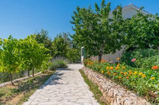 Villa Vita- 3 Bedroom Villa with Private Pool - Opanci - 4