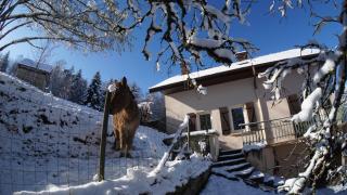 A l'Orée du Bois - 2