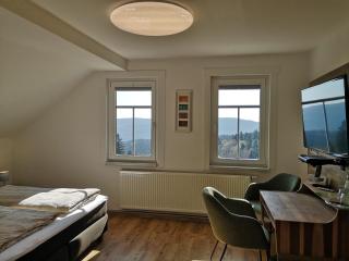 Hotel Schöne Aussicht - Masserberg - 9