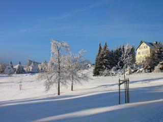 Hotel Schöne Aussicht - Masserberg - 7