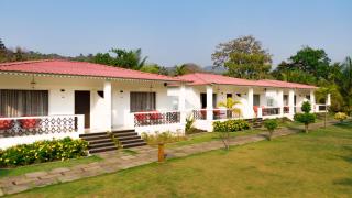 Wild Berry Resort Agonda - Canacona - 3