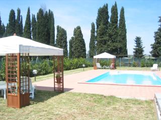 Agriturismo Morisfarms - Podere Cancelloni - Massa Marittima - 8