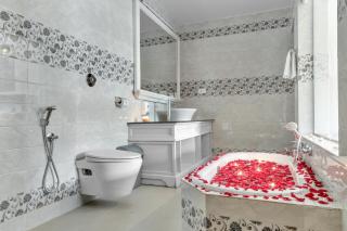 Wild Berry Resort Agonda - 4