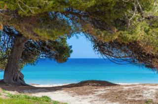 Apartment Countess Attic 3-3, Sun of the Bay 3, at Alcudia Beach - Port d'Alcúdia - 5