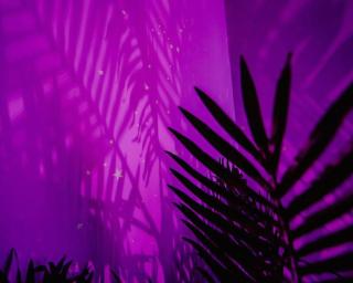 Object Hotel 1BR Room 3E - Bisbee - 1