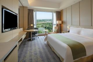 Holiday Inn Nanyang by IHG - Nanyang - 9