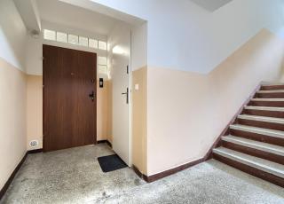 Studio Leśne - ACCO RENT - 7