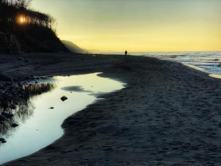 Przytulny Apartament Dębina - 7