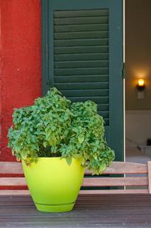Zefiros Traditional Hotel - Paleokastritsa - 2