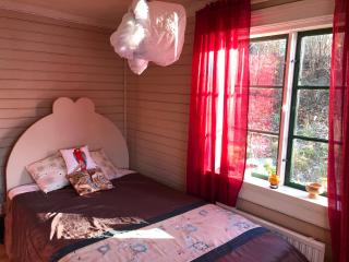Tranquil Lakeside Cottage Retreat - Avesta - 2