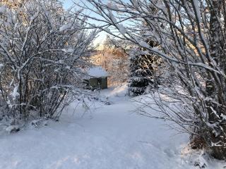 Tranquil Lakeside Cottage Retreat - Avesta - 5