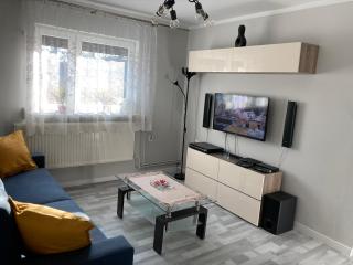 Apartament Swobodna No.2 - Sosnowiec - 6