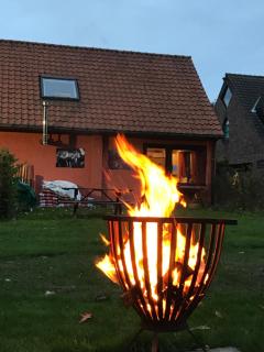 Vakantiehuis Wandelen en fietsen in de Kalkense Meersen dichtbij Gent - Laarne - 4
