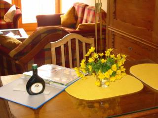 Komfort-Fewo Sylvia - 7