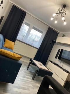 Apartament Swobodna No.2 - Sosnowiec - 1