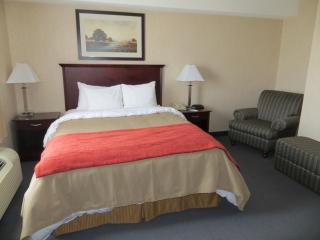 Comfort Inn - Mississauga - 7
