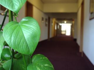 HOTEL IM PARK - 3