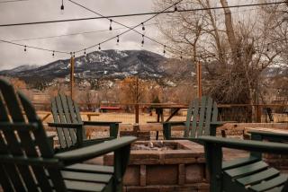 Loyal Duke Lodge - 6