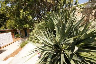 Holiday Home (139-3) - Vis - 3