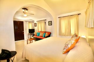 Cabarete Palm Beach Condos - Cabarete - 4