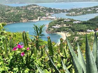 Luxury secluded villa with private pool sleeps six - Jolly Harbour - 4