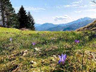 Colle del Faggio Nature Room - 3