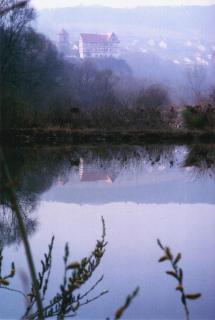 Gasthaus Zum güldenen Rößlein - 8