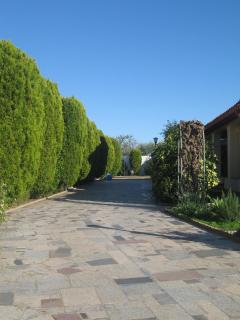 Villa Primavera - 9