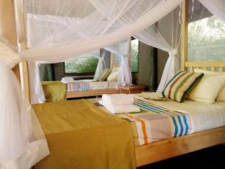 Gorilla Hills Eco-lodge - Kisoro - 3