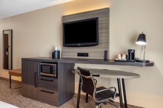 Comfort Inn & Suites North Dallas-Addison - Dallas - 3