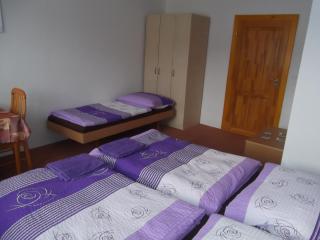 Penzion Apartmány Zlín - Zlín - 7