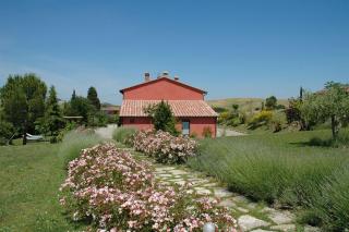 Sant'Alberto - 2