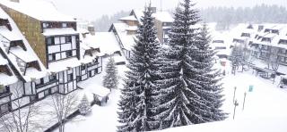 Apartment Kockica Konaci - 3