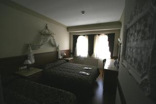 Grand Peninsula Hotel - Estambul - 8