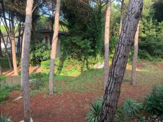 Apartments in Eraclea Mare 25559 - Eraclea Mare - 5