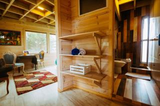 Sirena Insolente Hostel & Suites - 2