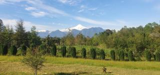 Casa de Campo Buenavista - Pucón - 3