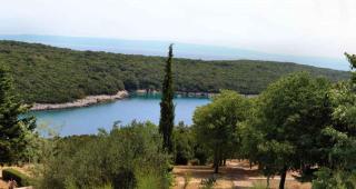 Apartments in Pavicini - Istrien 40814 - Pavicini - 2