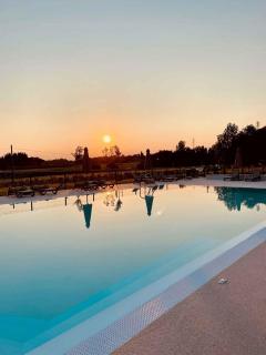 Agricamping Al grappolo diVino - Lazise - 3