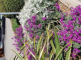 Apartment in Crikvenica 41041 - Crikvenica - 4