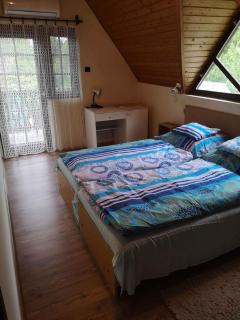 Apartment in Balatonszarszo 20073 - Balatonszárszó - 3
