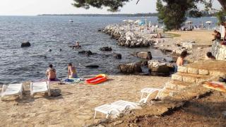 Apartments in Porec - Istrien 38388 - Poreč (Parenzo) - 2