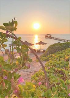 Rohanou Beach Resort - 7