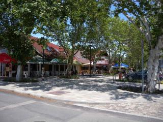 Apartment in Balatonboglar 38010 - Balatonboglár - 0